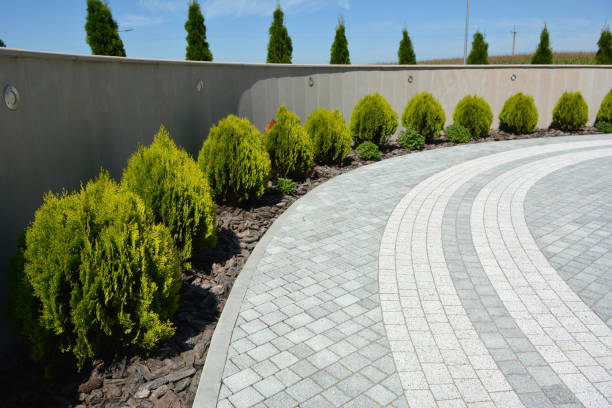Driveway Repair Near Me in Westchester, FL